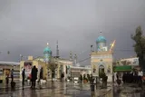 مجاهدی که مقید به زیارت عاشورا بود + فیلم