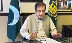 پاکستان, سعودیہ کے ساتھ مشترکہ فلم و ڈراما بنانے کا خواہاں