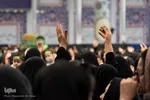 همایش شیرحوارگان در کرج