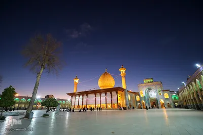 قرائت دعای کمیل در حرم شاهچراغ (ع)