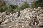 آخرین وضعیت روستاهای زلزله زده اندیکا