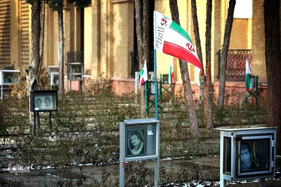 شهدای انقلاب اسلامی در قاب حجله
