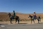 سوارکاران خراسان شمالی در راه مشهد