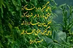 استوری‌موشن | يا علی گفتيم و عشق آغاز شد