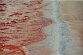 دریاچه حوض سلطان به رنگ سرخ