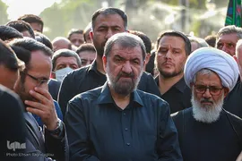 حسینیه ایران؛ دسته عزاداری حسینیه اعظم زنجان‎‎