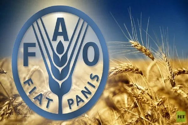 ایندیپندنت: سال 2020 سخت‌ترین سال برای گرسنگان یمنی است