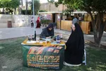رویداد هنری «پرچم زمین نمی‌ماند» در شیراز‎