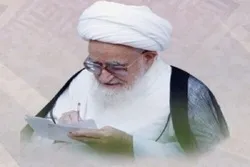 Iranian Cleric Lauds Austria’s Top Court for Overturning Hijab Ban