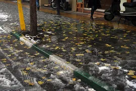 بارش برف زمستانی در تهران