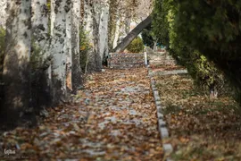 آخرین روزهای برگ‌ریزان دانشگاه تهران