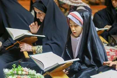 تجمع جامعه قرآنی شیراز در محکومیت توهین دولت سوئد به ساحت کلام وحی