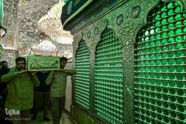 سیب بهشتی‎‎