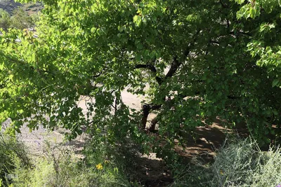 خسارت سیل در روستای افیل شهرستان اهر
