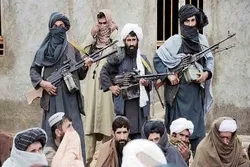 More than 20 Afghan Forces Killed, Wounded in Taliban Attacks