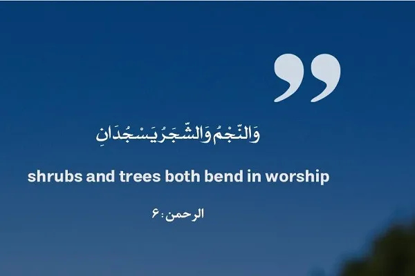 والنجم والشجر يسجدان