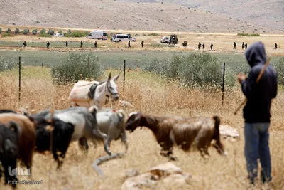 تظاهرات فلسطینیان بر ضد طرح الحاق «کرانه باختری» به سرزمینهای اشغالی