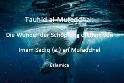 Tauhid al-Mufaddhal: Die Wunder der Schöpfung diktiert von Imam Sadiq (a.) an Mufaddhal