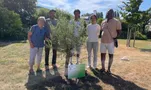 France : un olivier de l'amitié musulmano-chrétienne à La Ferté-Bernard