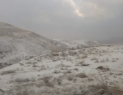 بارش برف در شهرستان اهر
