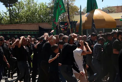 مراسم نخل‌برداری به مناسبت شهادت امام رضا(ع) در یزد‎