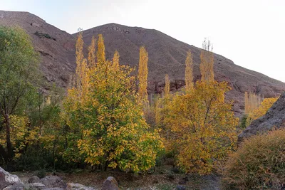 پاییز زیبای طالقان