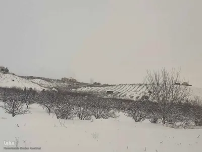 طبیعت برفی مناطق شهری و روستایی اهر