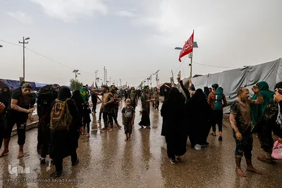 راهپیمایی اربعین حسینی مسیر نجف، کربلا