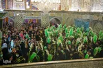 گلباران حرم شاهچراغ در شب ولادت امام رضا( ع‎‎)