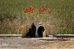 راهیان نور در مناطق عملیاتی جنوب کشور 