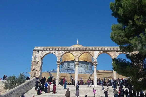 تنظيم الدورة الـ20 من مسابقة 