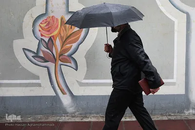 باران بهاری در تهران