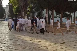 Vom Angriff auf die Al-Aqsa-Moschee bis zur Enthüllung des Geländes der britischen Botschaft + Video