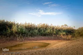 سراب کارون