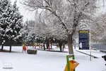 بارش نخستین برف زمستانی در ارومیه‎‎