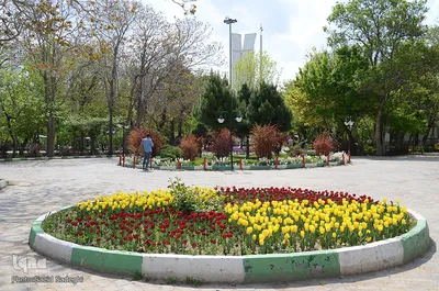 گلستان تبریز