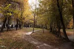طبیعت پاییزی تبریز