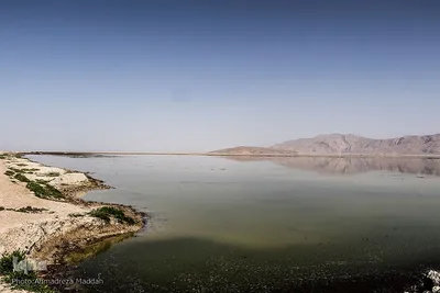 تالاب بین المللی کمجان فارس