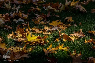 پاییز شگفت‌انگیز در اصفهان