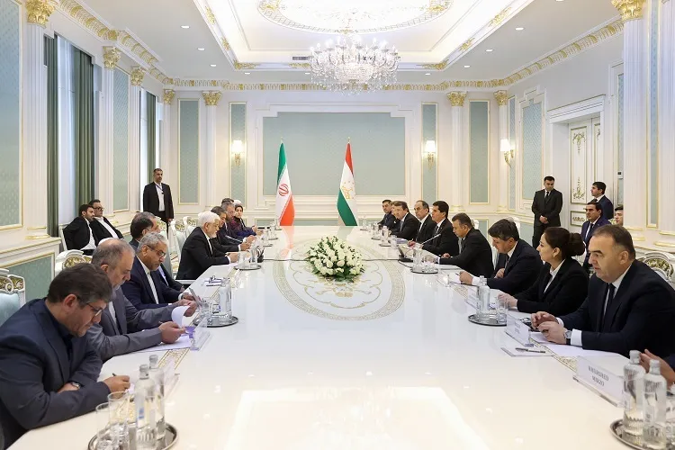 کمیته عالی مشترک زبان، ادبیات، فرهنگ و تمدن پارسی تشکیل شود
