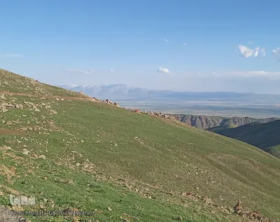 طبیعت بهاری ارتفاعات اوکوز داغی شهرستان هریس
