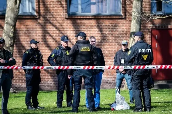 Half of Denmark Backs Ban on Quran Desecration: Poll