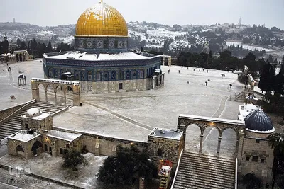 بارش کم سابقه برف در بیت المقدس