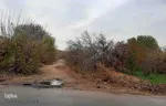 طبیعت پاییزی یزد در قاب تصویر