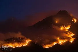 حیات وحش استرالیا از نگاه عکاسان