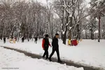 برف زمستانی در اهر
