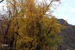 طبیعت پاییزی خراسان‌جنوبی