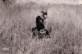 گل‌خاک شهیدان؛ غواصان بی نشان