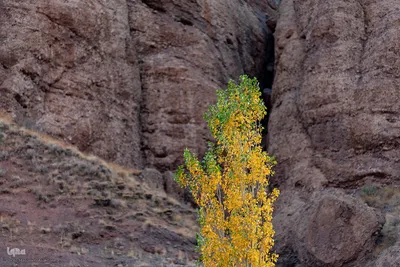 پاییز زیبای طالقان