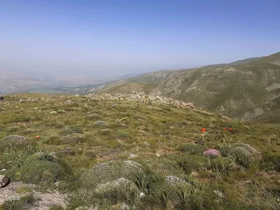 طبیعت زیبای قوشاداغ در اهر